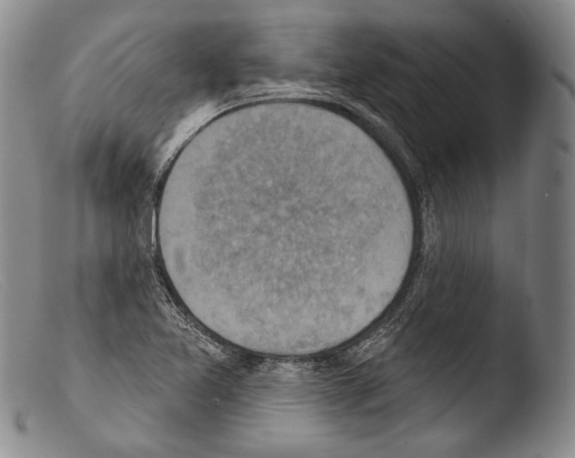 X0000103951365200810311539