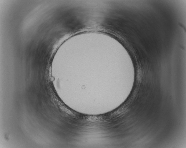 X0000103951366200810311539