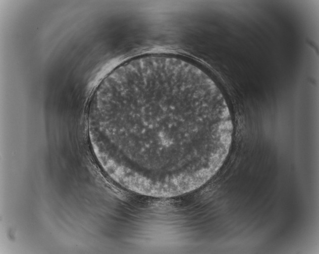 X0000103951367200810311539