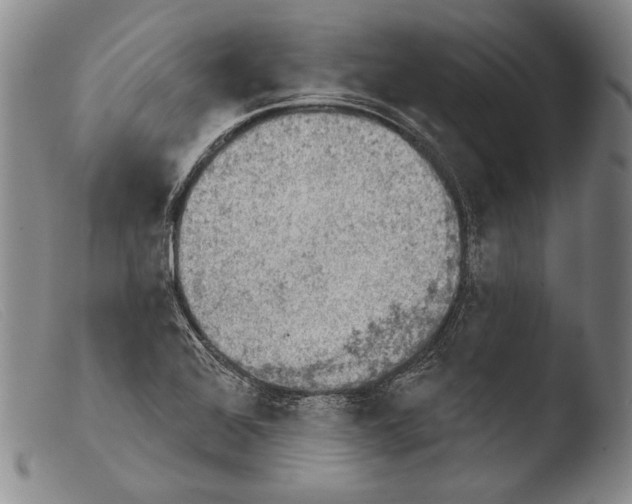 X0000103951368200810311539