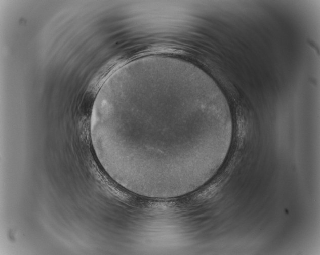 X0000103951369200810311539