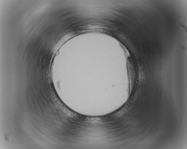 X0000103951370200810311539