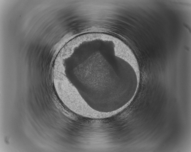 X0000103951371200810311539