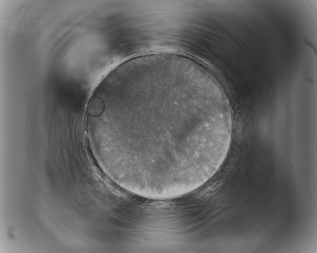 X0000103951373200810311539
