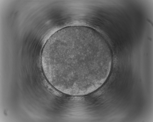 X0000103951374200810311539
