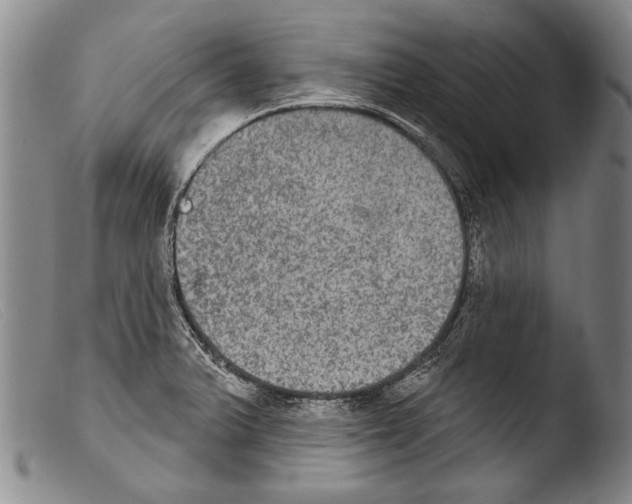 X0000103951375200810311539