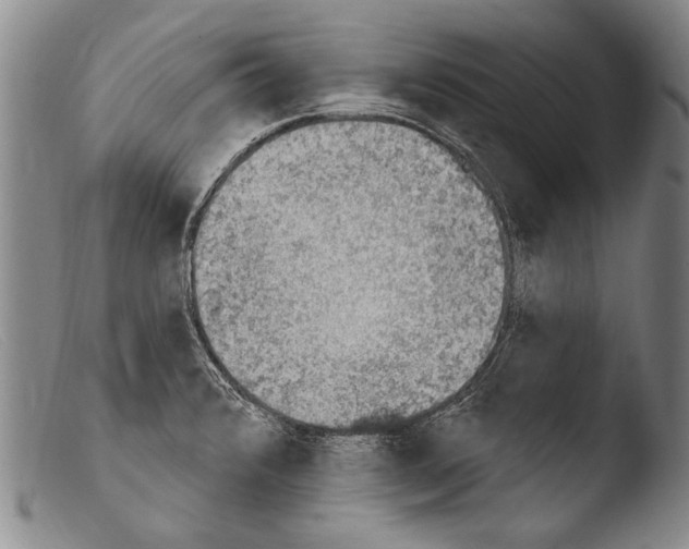 X0000103951376200810311539