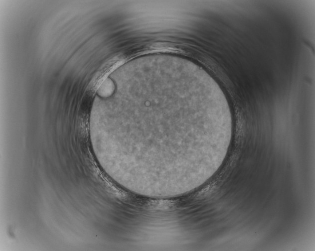 X0000103951377200810311539