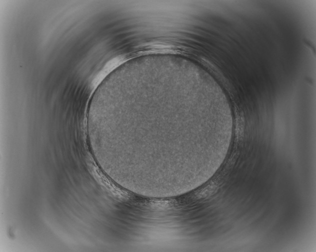 X0000103951378200810311539