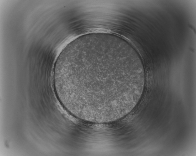 X0000103951379200810311539