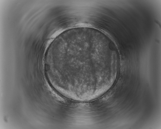 X0000103951381200810311539