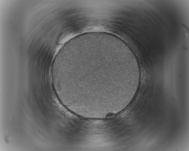 X0000103951382200810311539