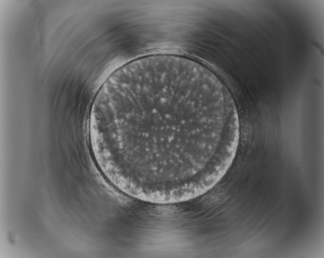 X0000103951383200810311539