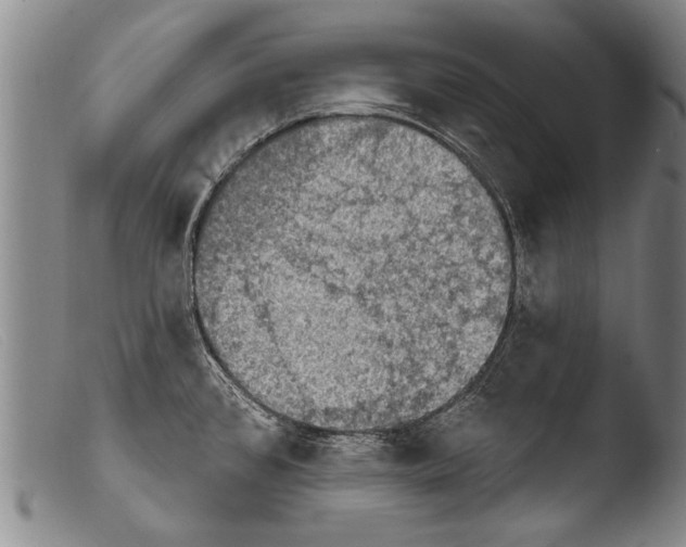 X0000103951384200810311539