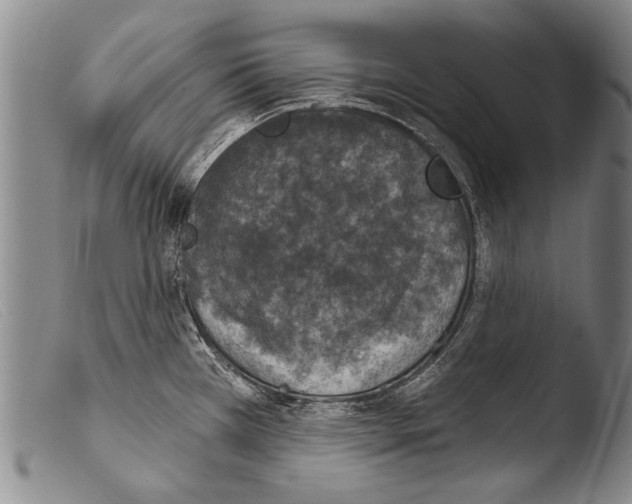 X0000103951385200810311539