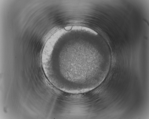 X0000103951386200810311539