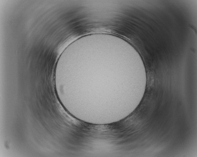 X0000103951387200810311539