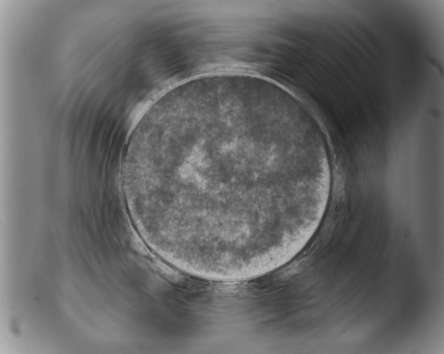 X0000103951390200810311539