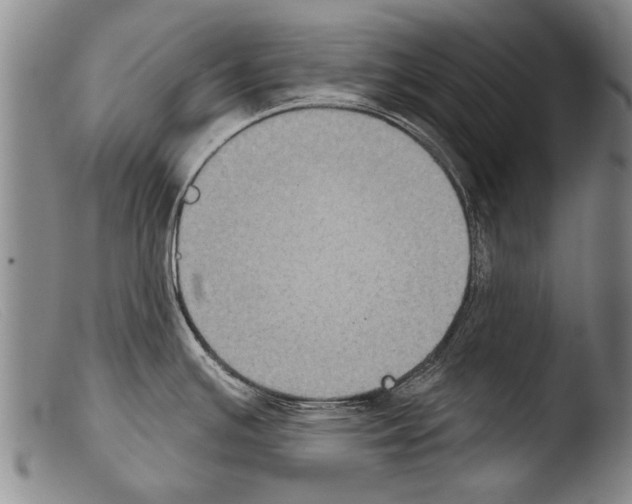 X0000103951391200810311539