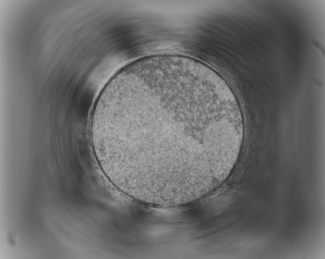 X0000103951392200810311539
