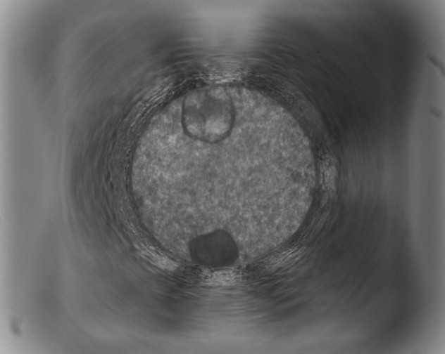 X0000103951393200810311538