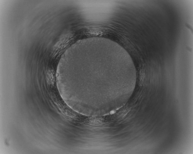 X0000103951394200810311538