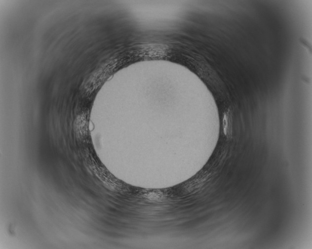 X0000103951395200810311538