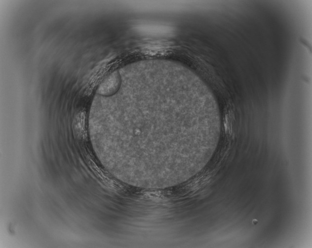 X0000103951396200810311538
