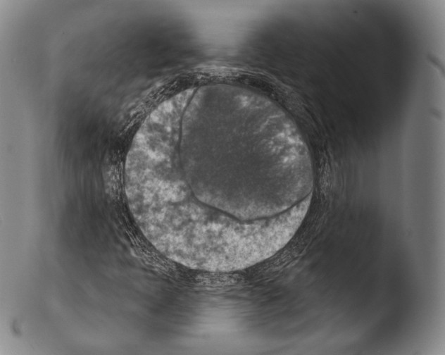 X0000103951397200810311538