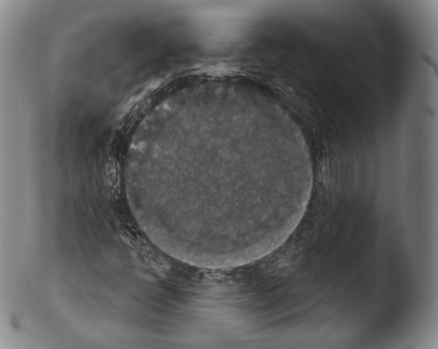 X0000103951398200810311538