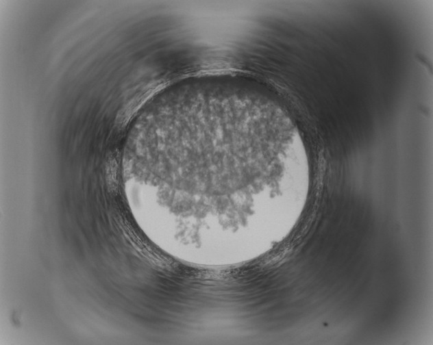 X0000103951401200810311538
