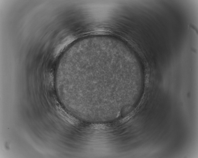 X0000103951402200810311538