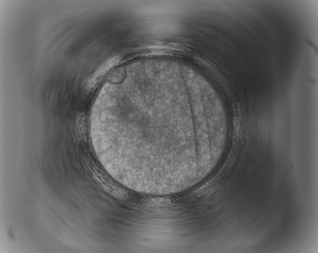 X0000103951403200810311538