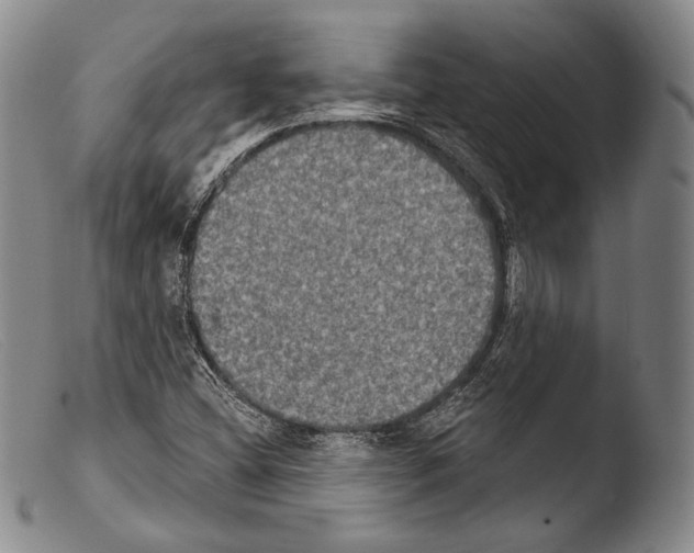 X0000103951404200810311538
