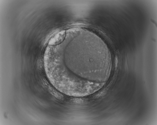 X0000103951405200810311538
