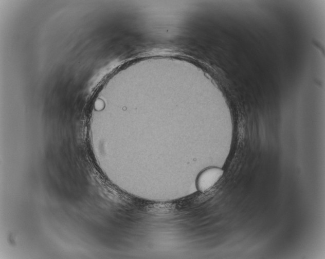 X0000103951406200810311538