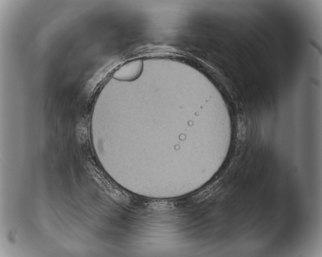 X0000103951407200810311538
