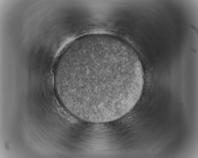 X0000103951408200810311538