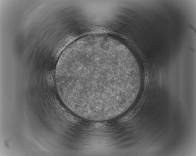 X0000103951409200810311538