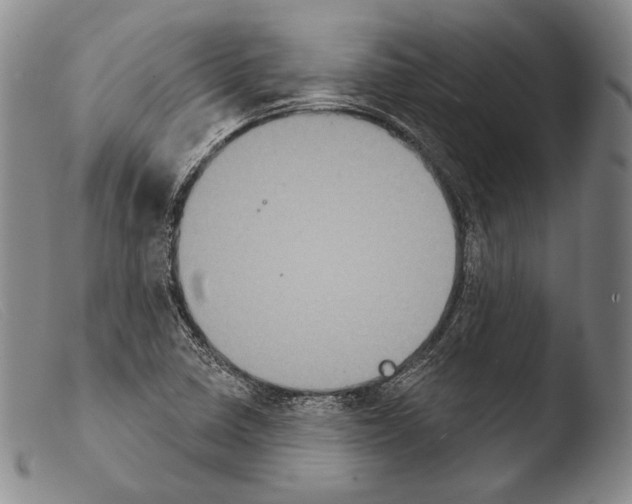 X0000103951410200810311538