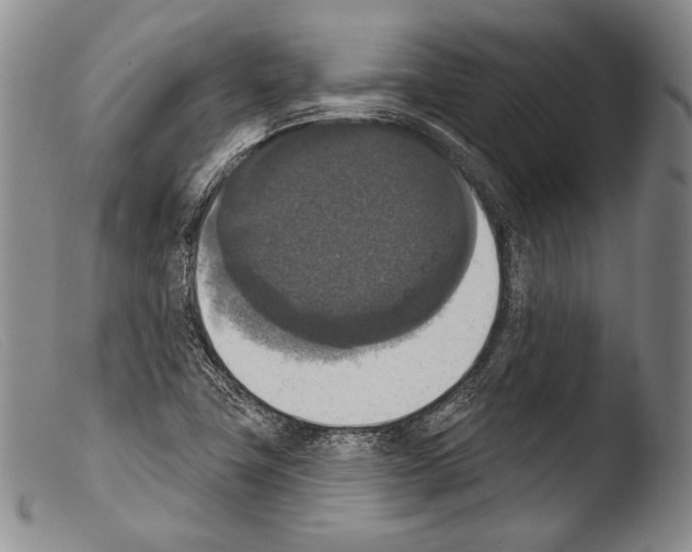 X0000103951411200810311538
