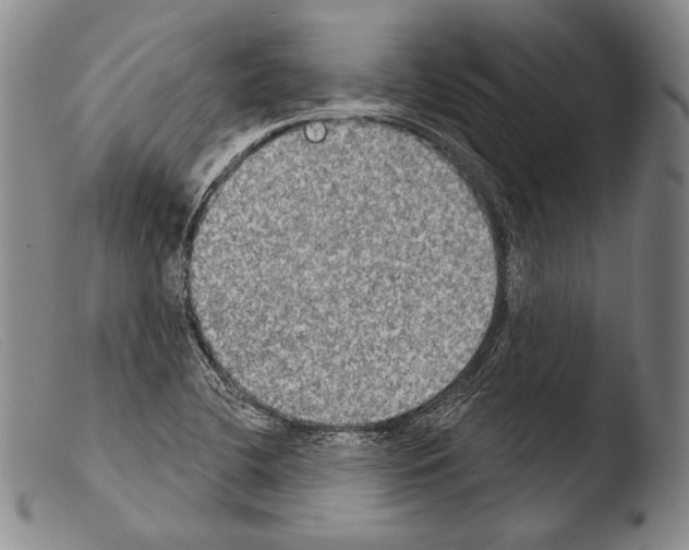 X0000103951412200810311538