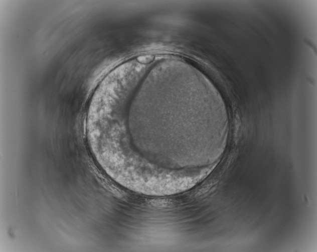 X0000103951413200810311538