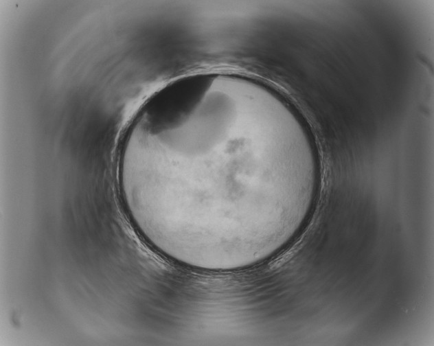 X0000103951414200810311538