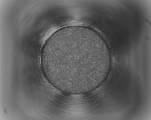 X0000103951415200810311538