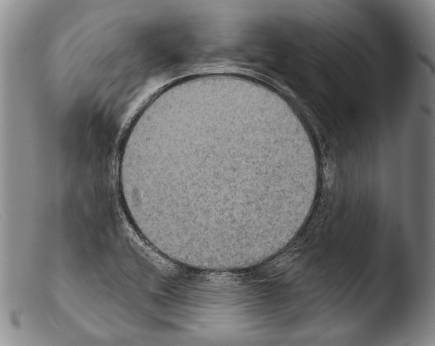 X0000103951416200810311538