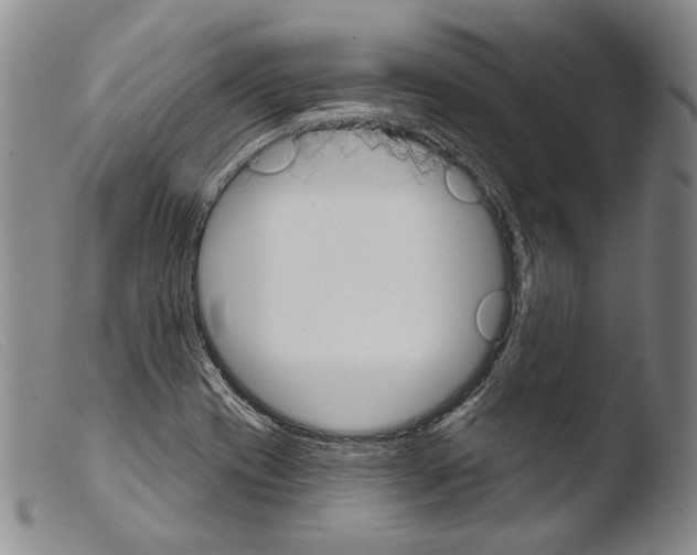 X0000103951417200810311538