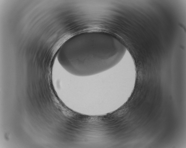 X0000103951418200810311538