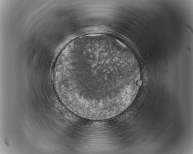 X0000103951419200810311538