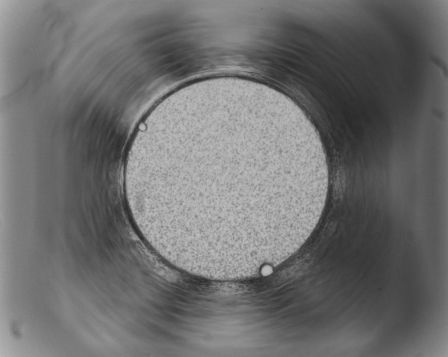 X0000103951420200810311538
